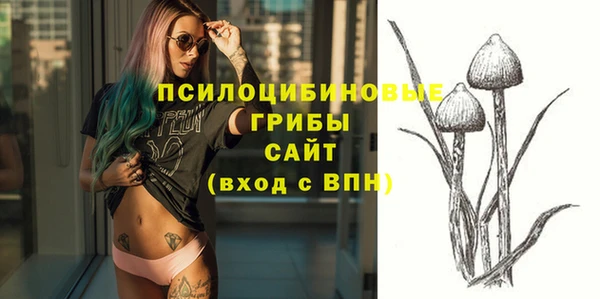 мет Инта