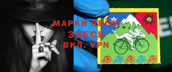 мет Инта