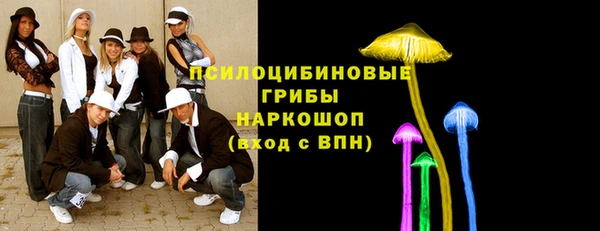 кокс Инсар