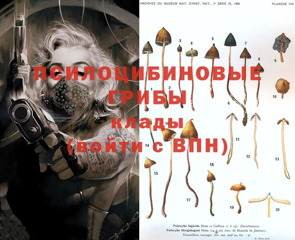 кокс Инсар