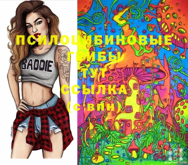 mix Каменногорск