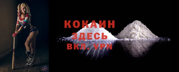 ALPHA PVP Каменка