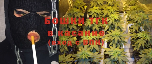 кокс Инсар