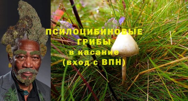 мет Инта