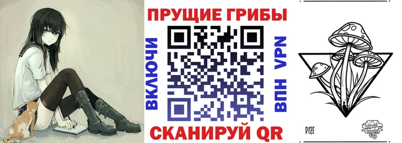Псилоцибиновые грибы прущие грибы  Купить закладки  Нарткала 